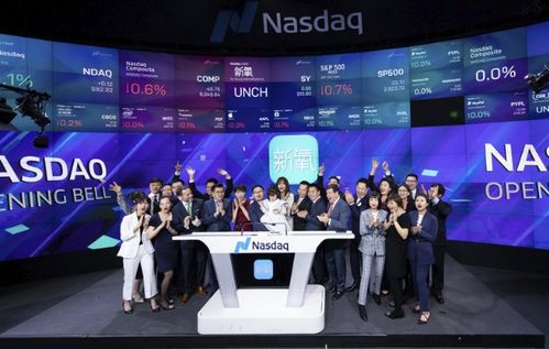 新氧科技醫(yī)美非標之困 流量變現(xiàn)受阻與科技中介服務挑戰(zhàn)